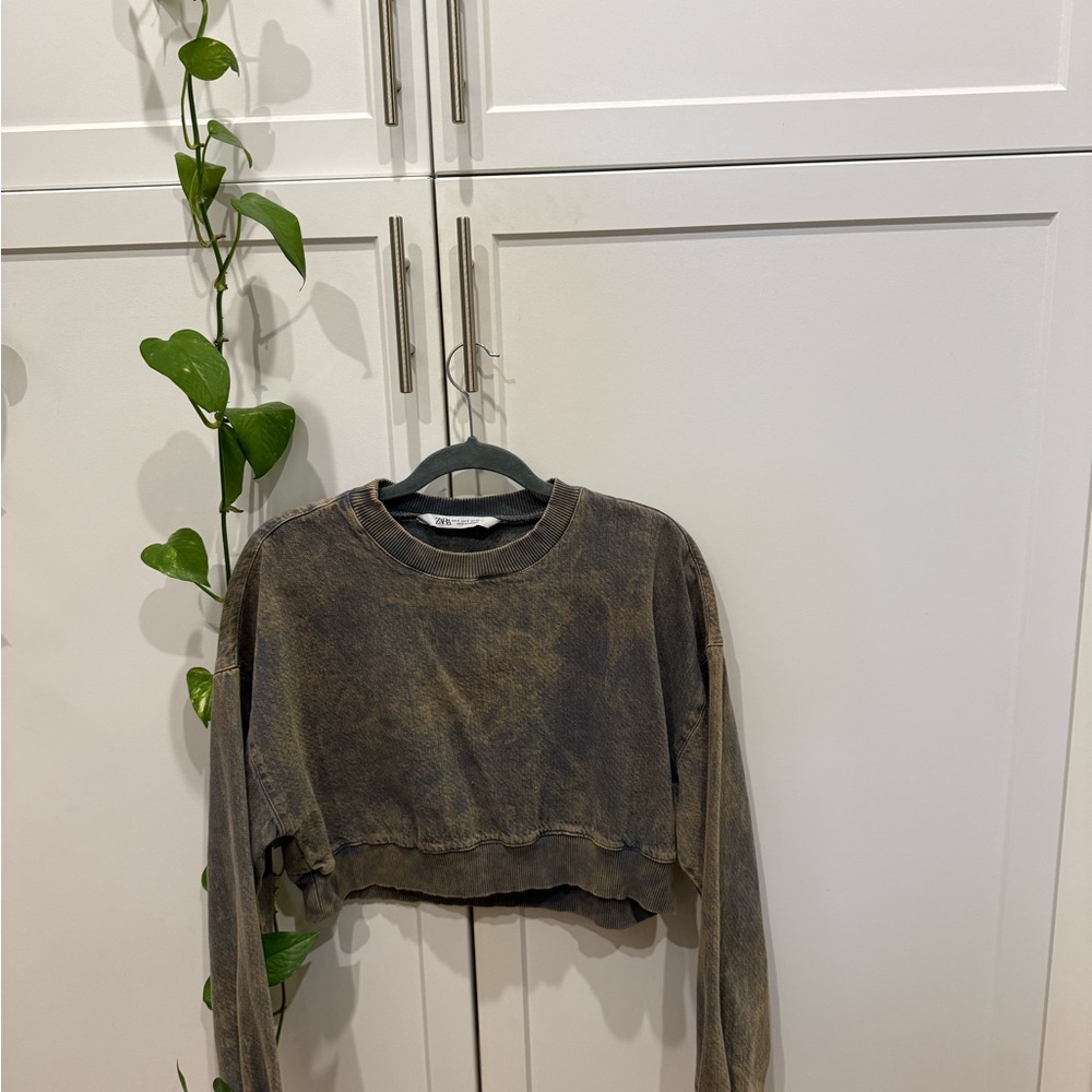 Zara Brown Crop Top